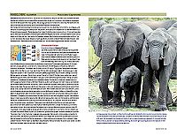 Safari-Reiseführer Ostafrika, 4