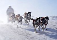 Winter Games [DVD], 7