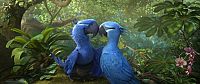 Rio 2 - Dschungelfieber [Blu-ray 3D], 2