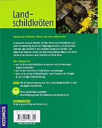 Landschildkröten, 1