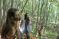 V/H/S 2 - S-VHS [DVD], 6