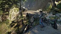 Days Gone [Sony PlayStation 4], 3