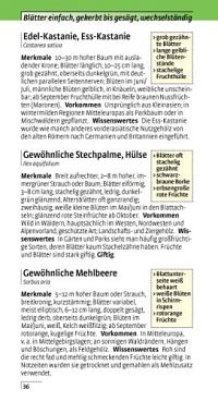 Welcher Baum ist das?, 3