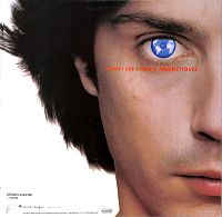 Magnetic Fields [Vinyl], 1