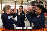 Chicago Fire - Staffel sieben [DVD], 8