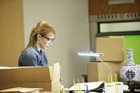 Scream of the Banshee [Blu-ray], 5