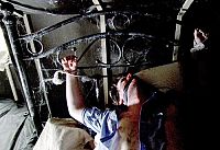 Axed - Uncut [Blu-ray], 7