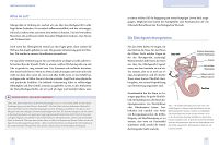 Schwindel ohne Befund, 1