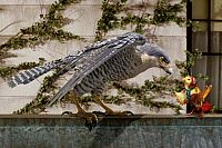 Stuart Little 2 [Blu-ray], 5