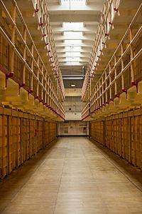 Alcatraz - Der Wahrheit auf der Spur [DVD], 2