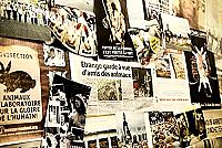 A.L.F. (animal liberation front) [DVD], 5