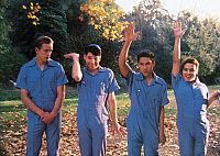 But I'm a cheerleader - Weil ich ein Mädchen bin [DVD], 6