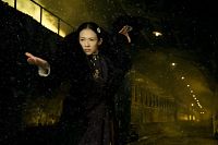 The Grandmaster [DVD], 4