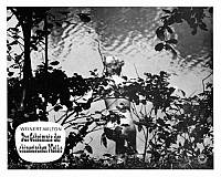 Das Geheimnis der chinesischen Nelke [DVD], 6