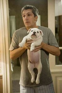 Der kleine Haustyrann [Blu-ray], 6