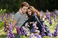 Breaking Dawn - Bis(s) zum Ende der Nacht - Teil 2 [DVD], 5