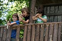 Tiere bis unters Dach - Staffel 1 [DVD], 8