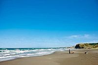 Chiko - Eine Freundschaft fürs Leben [DVD], 6