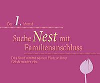 9 Monate bewusst erleben, 2