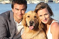 Noch eine tierische Bescherung [DVD], 2