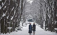 Falling Snow - Zwischen Liebe und Verrat [DVD], 3