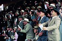 Phar Lap - Legende einer Nation  [DVD], 2