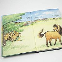 Ponyherz - Das Pferd der Prinzessin, 2