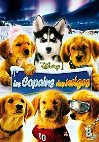 Les Copains des neiges [DVD], 1