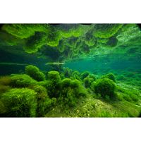 Unser grüner Planet [DVD], 6