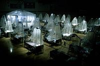 Carriers - Flucht vor der tödlichen Seuche [Blu-ray], 3