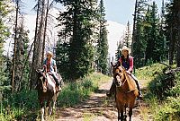 Das Geheimnis des wilden Mustangs [DVD], 3