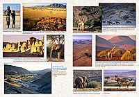 Das komplette Kartenset Namibia, 5