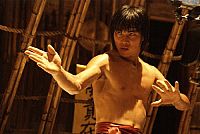 Fighting Tiger [DVD], 9