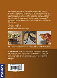 Bartagamen - Haltung und Pflege, Gesundheit und Zucht, 1