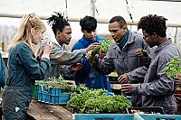 Die Küchenbrigade [DVD], 1