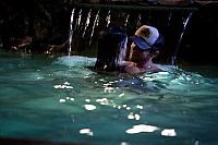 Straight A's - Jede Familie hat ein schwarzes Schaf [DVD], 5