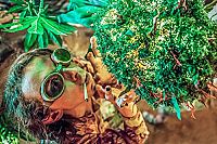 AmStarDam - Eine hanftastische Reise [Blu-ray], 3