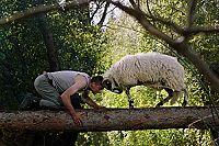 On the Milky Road [Blu-ray], 1