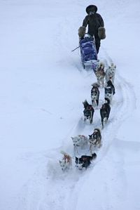 Odyssee durch Sibirien [Blu-ray], 9