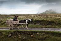 Jimmy's Hall [DVD], 4