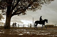 Jappeloup - Eine Legende [DVD], 4