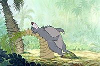 Das Dschungelbuch [DVD], 4