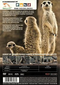 Erdmännchen Babies entdecken die Welt [DVD], 1