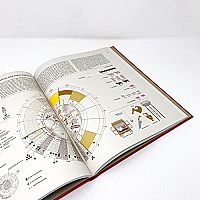 Rom verstehen - Das Römische Reich in Infografiken, 1