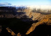 Naturwunder Galapagos [DVD], 1