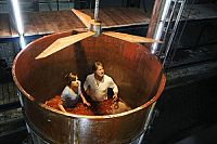 Der Blender [DVD], 6