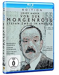 Vor der Morgenröte - Stefan Zweig in Amerika [Blu-ray], 2
