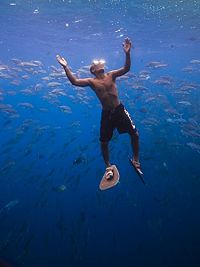 Walking under Water [DVD], 8