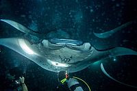 Weltnaturerbe Hawaii - Hawaii Vulkan-Nationalpark [Blu-ray 3D], 8