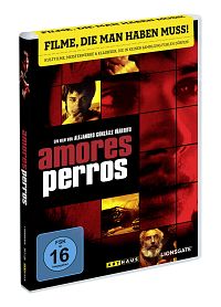Amores perros [DVD], 1